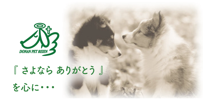 犬と猫